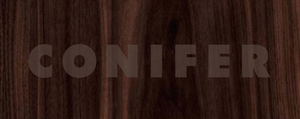Conifer